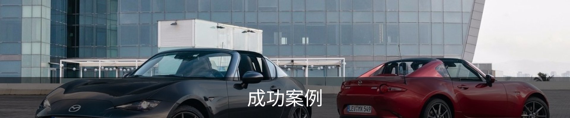 成功案例